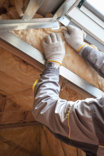 Best Insulation Inspection Services  in Chetopa, KS