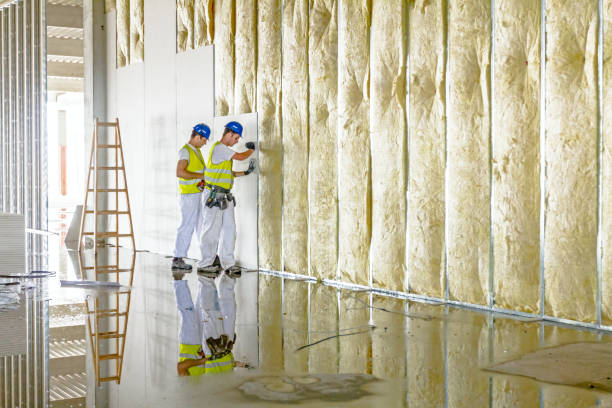 Best Soundproof Insulation Installation  in Chetopa, KS